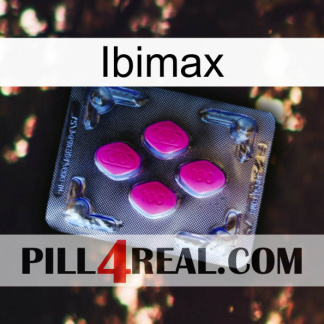 Ibimax 02